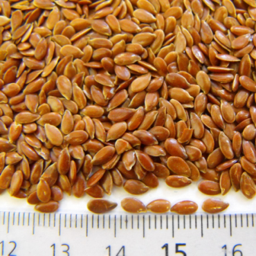 Linseed